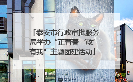 泰安市行政审批服务局举办“正青春‘政’有我”主题团建活动